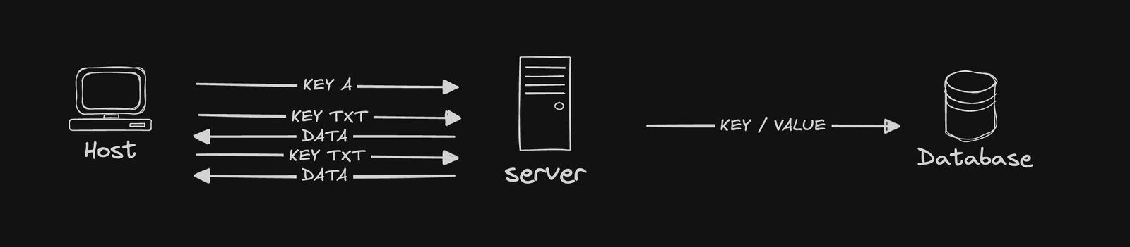 Hand-drawn diagram of the host querying our DNS server directly, which reads key/value pairs from a database