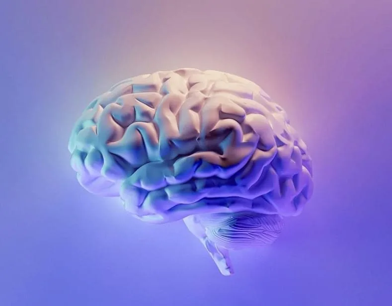 A glowing 3D-rendered human brain on a purple gradient background